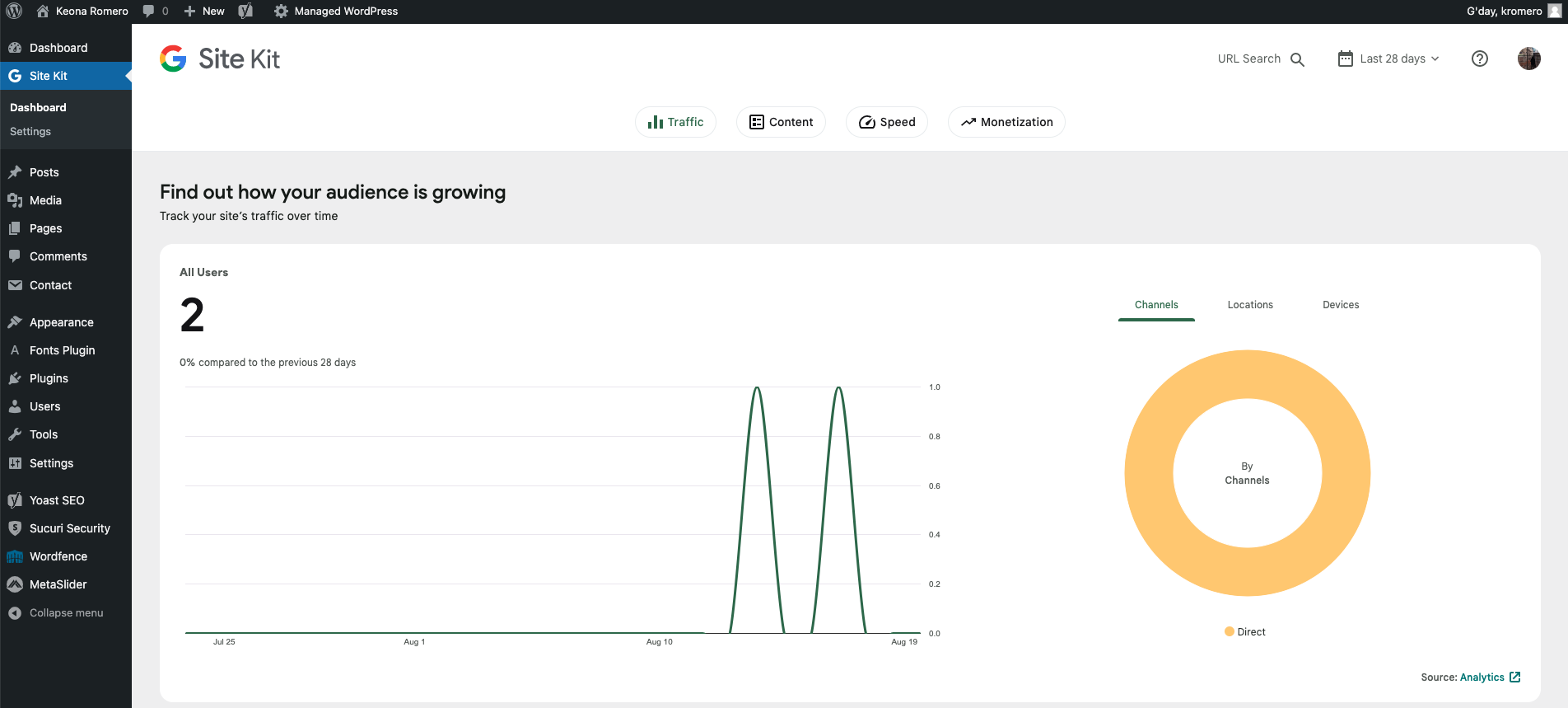 Google Analytics Plugin - Keona Romero